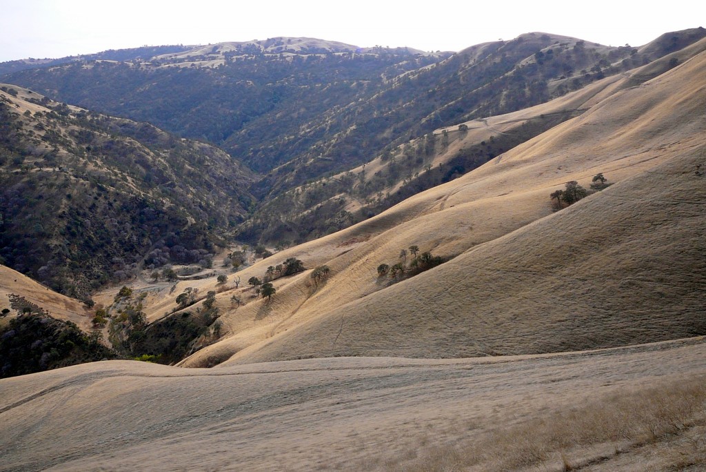 Corral Hollow Creek Canyon