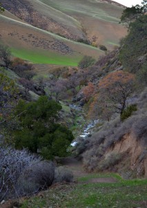 Tesla Park - Corral Hollow Creek Wildlands