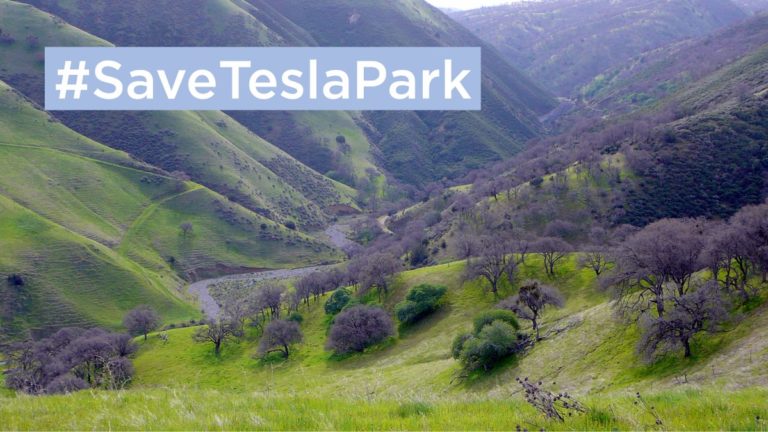 What is Tesla Park?