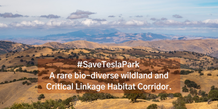 Save Mount Diablo Colloquium