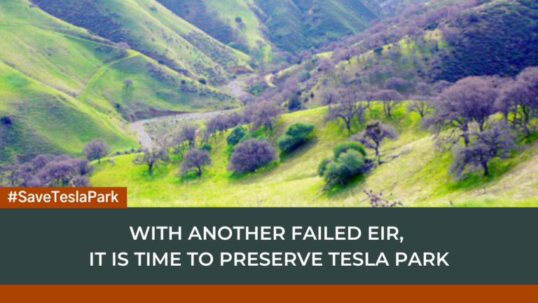 Newsom Should Protect Tesla Park