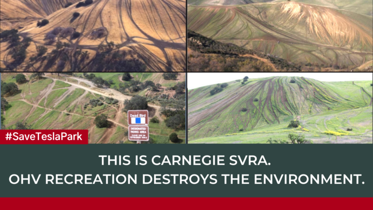 Carnegie SVRA Mitigation