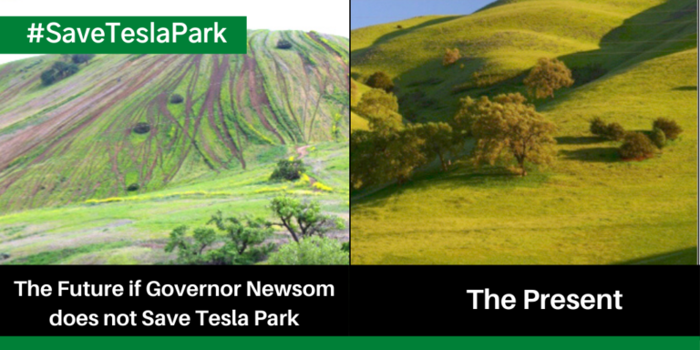 Will Newsom Preserve Tesla Park?