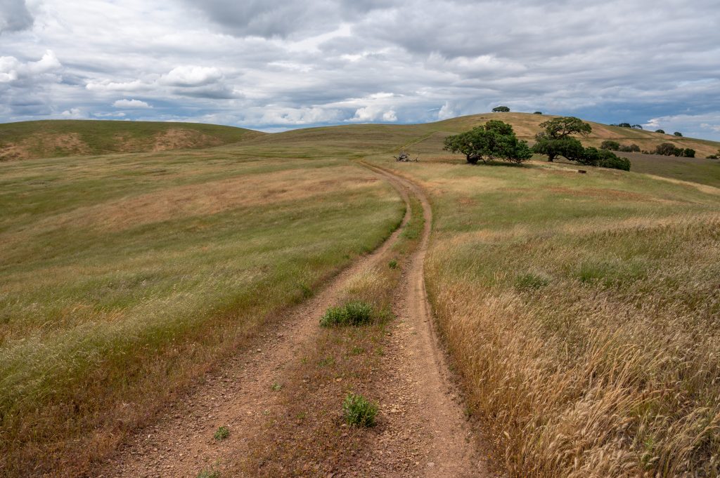 Back country trail to Tesla wildlands