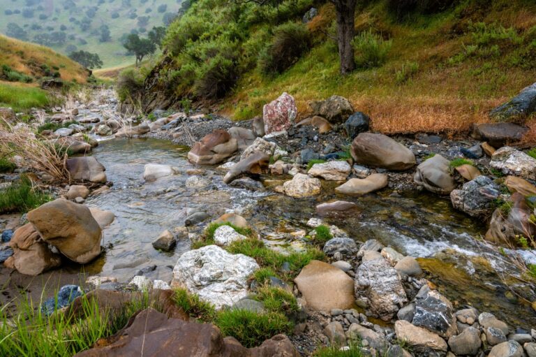 Tesla has one of the highest levels of biodiversity in the State according to Biological Assessment